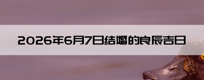 2026��6��7����������ô��