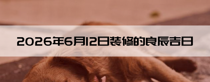 2026��6��12�������ʺ�װ����