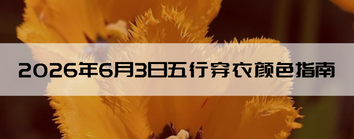 2026��6��3�����д�����ɫָ��