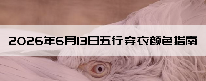 2026��6��13�����д�����ɫָ��
