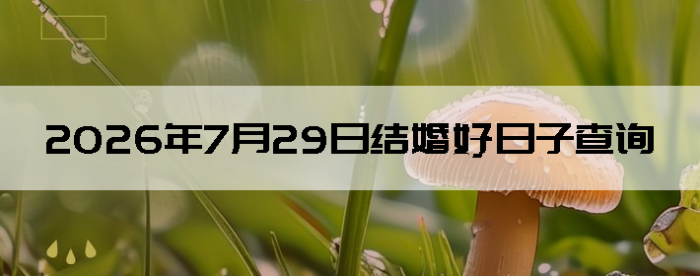 2026��7��29����������ô��