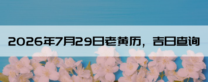 2026��7��29���ϻ��������ղ�ѯ