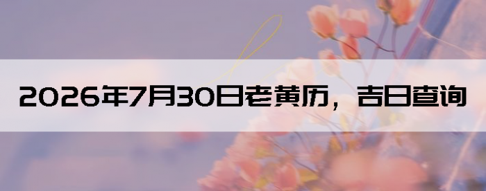 2026��7��30���ϻ��������ղ�ѯ