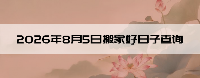 2026��8��5�հ�ҵ���������