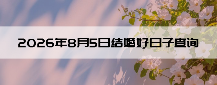 2026��8��5�������ʺϽ����