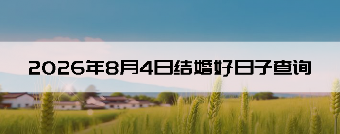2026��8��4�ս�����������