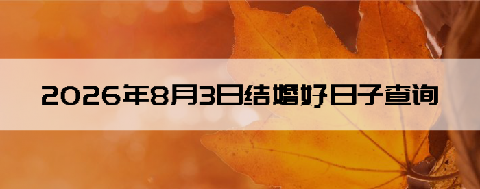 2026��8��3�ս�鼪�ղ�ѯ