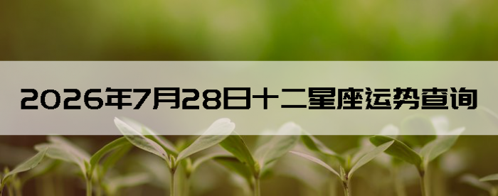 2026��7��28��ʮ���������Ʋ�ѯ