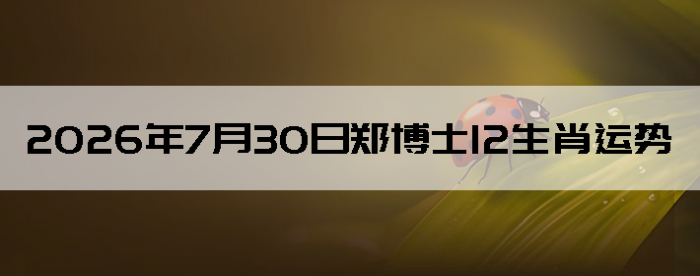 2026��7��30�����д�����ɫָ��