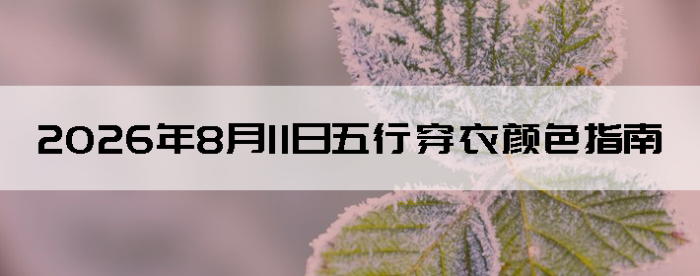 2026��8��11�����д�����ɫָ��