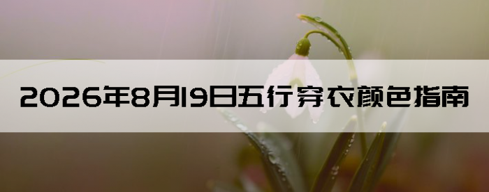 2026��8��19�����д�����ɫָ��