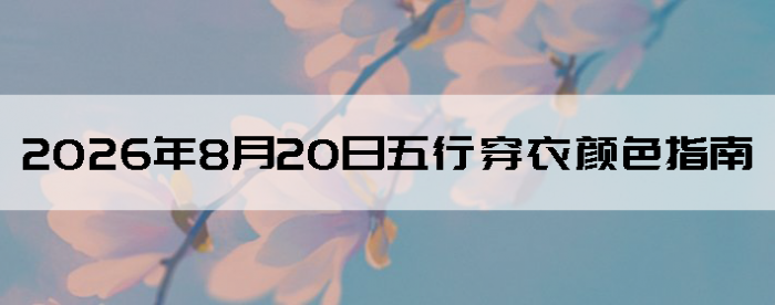 2026��8��20�����д�����ɫָ��