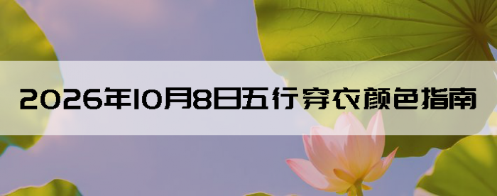 2026��10��8�����д�����ɫָ��