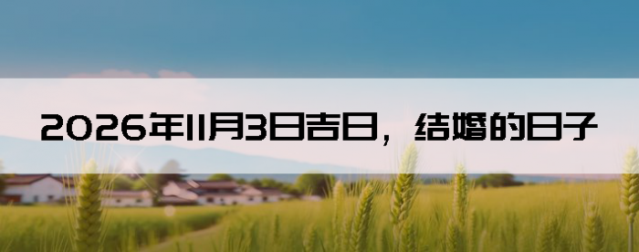 2026��11��3�ս�鼪��������