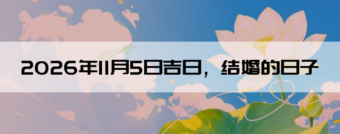 2026��11��5����������ô��