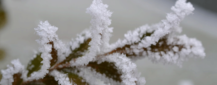 弧形办公室布局风水禁忌