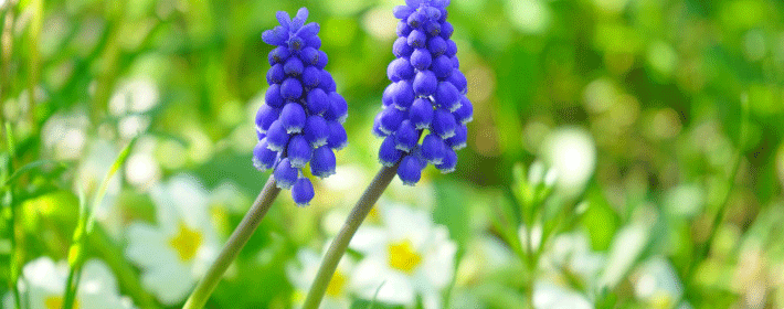 人晚上睡觉的最佳时间和早上醒来的最佳时间是几点?