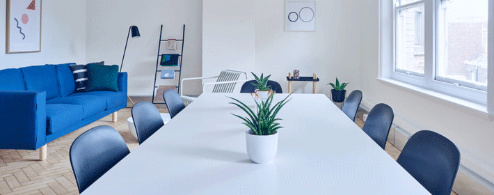 属蛇的在虎年犯太岁吗?