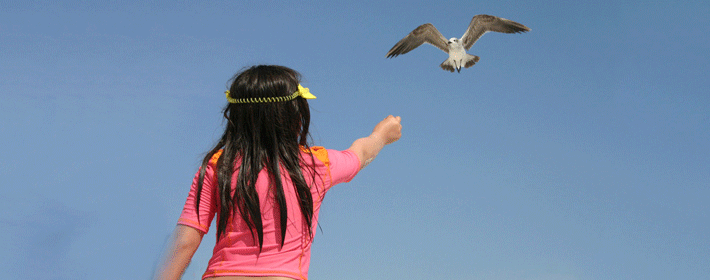 ��Ů�����˺�˫������������