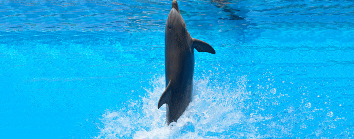 ˮƿ����ʲô������