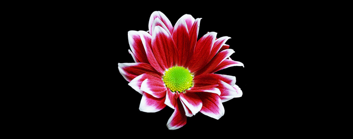 μ˿ԼƯ˻μԼƯ