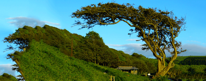 ��з���Ǽ��¼�