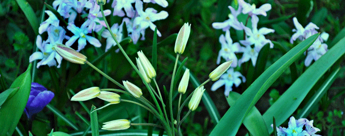 11.20是什么星座?