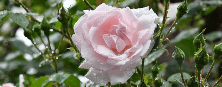 ��Ů������ʲô����