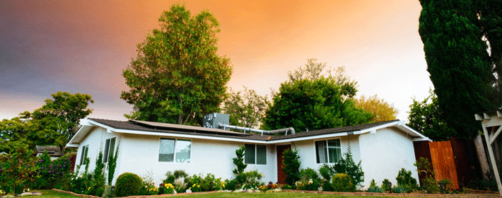 11�³�6��ʲô������