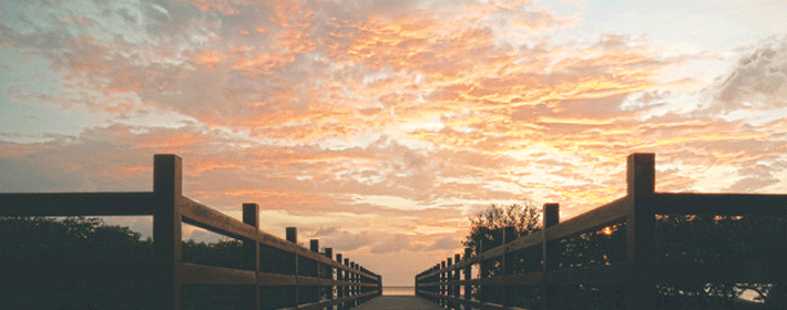 11月23日是什么星座?