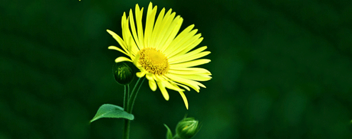 1963�����õ���ʲô����?