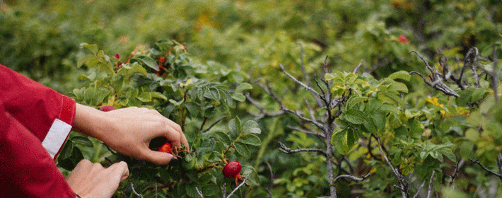 黄金貔貅手链怎么佩戴?