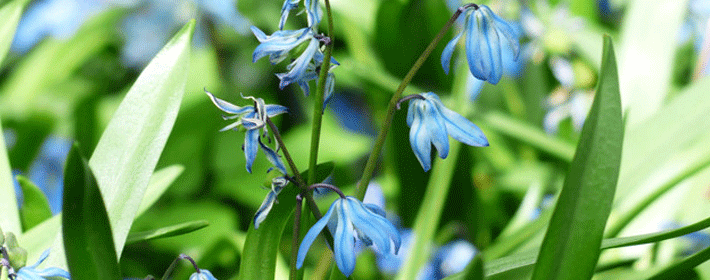 <b>ФصգǮǿע</b>