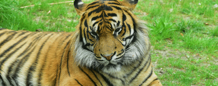 <b>½˵סФ</b>