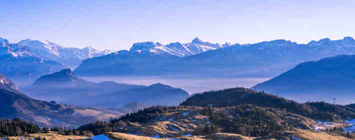 单身福利!2021星座感情运分析