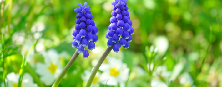 ⼸֡Сظȡ