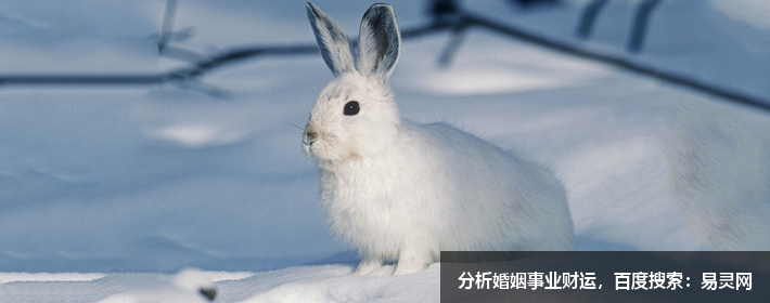 处座男深爱一个人的表现是什么