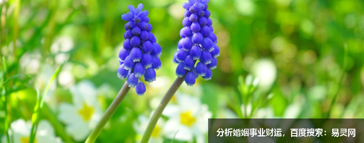 处座男深爱一个人的表现是什么