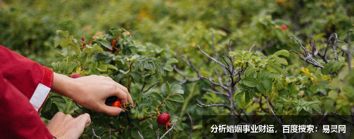 处座男深爱一个人的表现是什么