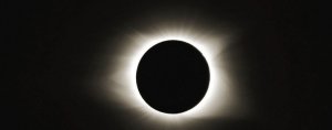 20228814