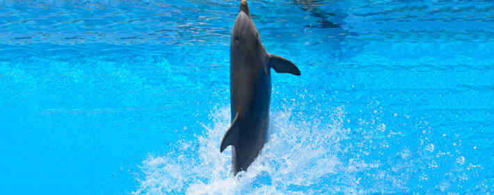 2023年2月12星座整体运势解析