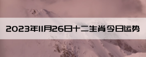 20231126ʮФ