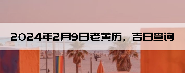202429ϻղѯ