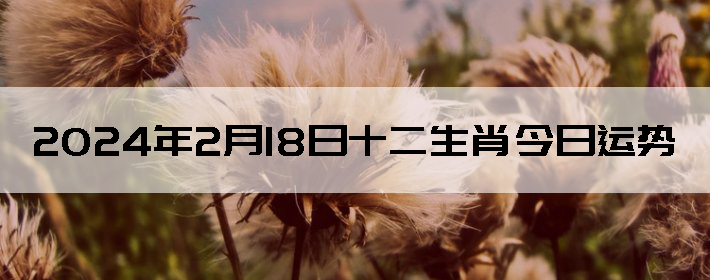 2024218ʮФÿ