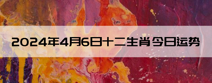 202446ʮФ