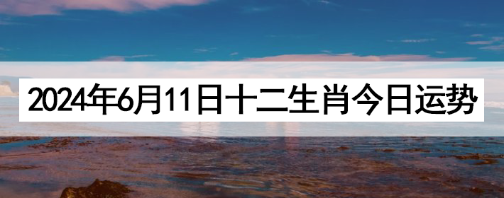 2024611֣ʿ12Ф