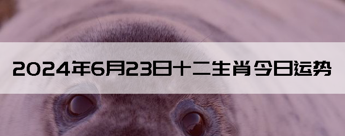 2024623֣ʿ12Ф