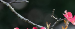 <b>ڵŮ˰ص ĿŮ</b>
