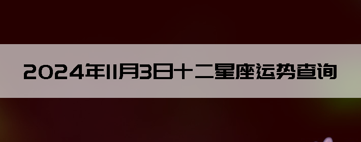 2024113ʮƲѯ