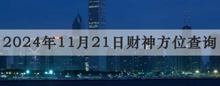 20241121ղλѯ